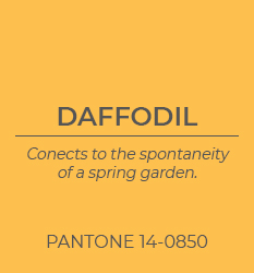2022 Colors of Spring | Daffodil