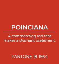 2022 Colors of Spring | Poinciana