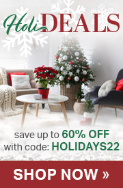 HoliDeals | Save up to 60% Off Lighting & Décor with code: HOLIDAYS22 | Shop Now