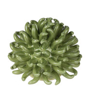 a-b-home-coral-decorative-objects-figurines-69533-gree