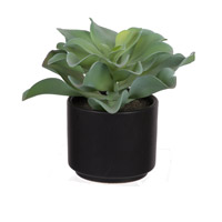 a-b-home-potted-dudelya-succulent-artificial-flowers-plants-f2637