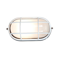 access-lighting-nauticus-outdoor-ceiling-lights-20290-wh-fst