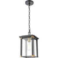 elk-lighting-vincentown-outdoor-pendants-chandeliers-46723-1