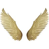 moes-home-collection-wings-wall-accents-hz-1023-32