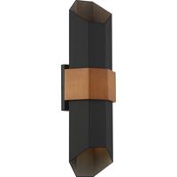 Chasm Outdoor Wall Light
