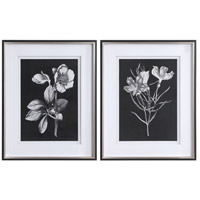 uttermost-black-and-white-flowers-art-prints-33694