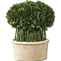 uttermost-preserved-boxwood-artificial-flowers-plants-60108