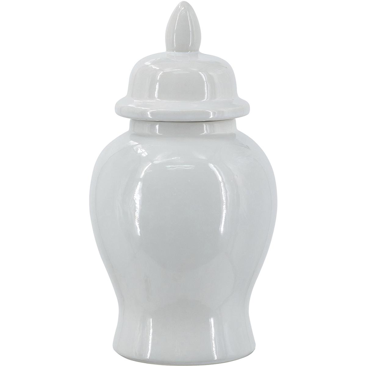 A&B Home C6183-IVOR Anita 12.2 X 6.3 inch Ginger Jar in Ivory