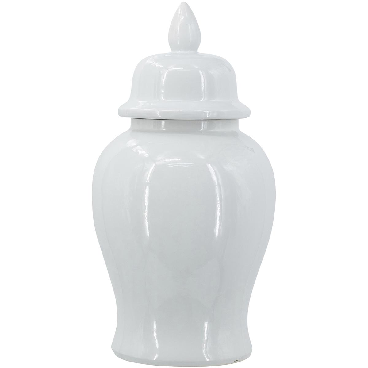 A&B Home C6187-IVOR Anita 18.9 X 9.4 inch Ginger Jar in Ivory