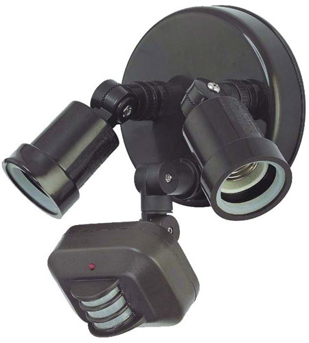 Acclaim Lighting MFL2ABZ Motion-Activated 2 Light 7 inch Architectural Bronze Exterior Floodlight photo