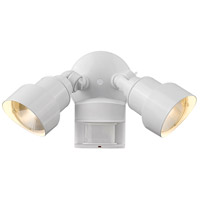 Acclaim Lighting LFL2WHM LED 7 inch Gloss White Exterior Floodlight alternative photo thumbnail