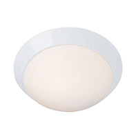 Access Outdoor Ceiling Lights