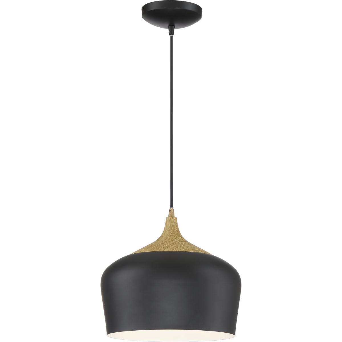 Access 52057-BL/WGN Blend 1 Light 12 inch Black Pendant Ceiling Light