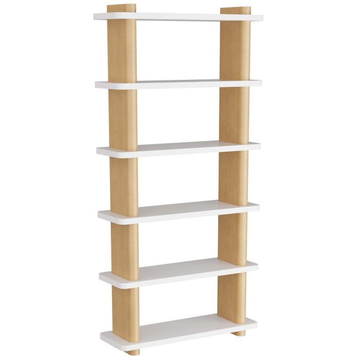 Arteriors FGS02 Triton Oyster Bookshelf