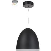 Craftmade 51190-FB-HUE Studio LED 16 inch Flat Black Dome Pendant Ceiling Light 51190-FB-HUE_100_HL.jpg thumb