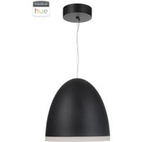 Craftmade 51190-FB-HUE Studio LED 16 inch Flat Black Dome Pendant Ceiling Light 51190-FB-HUE_HL.jpg thumb