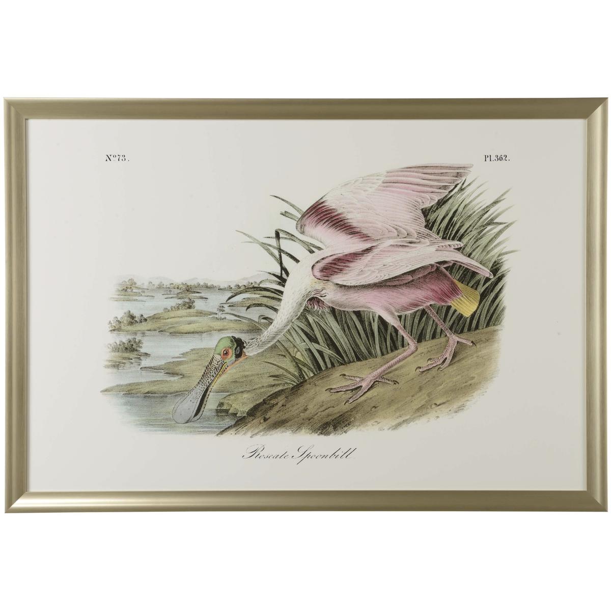 Lighting New York 387199 Chelsea House Roseate Spoonbill 51 X 35 inch Print 387199 - Open Box