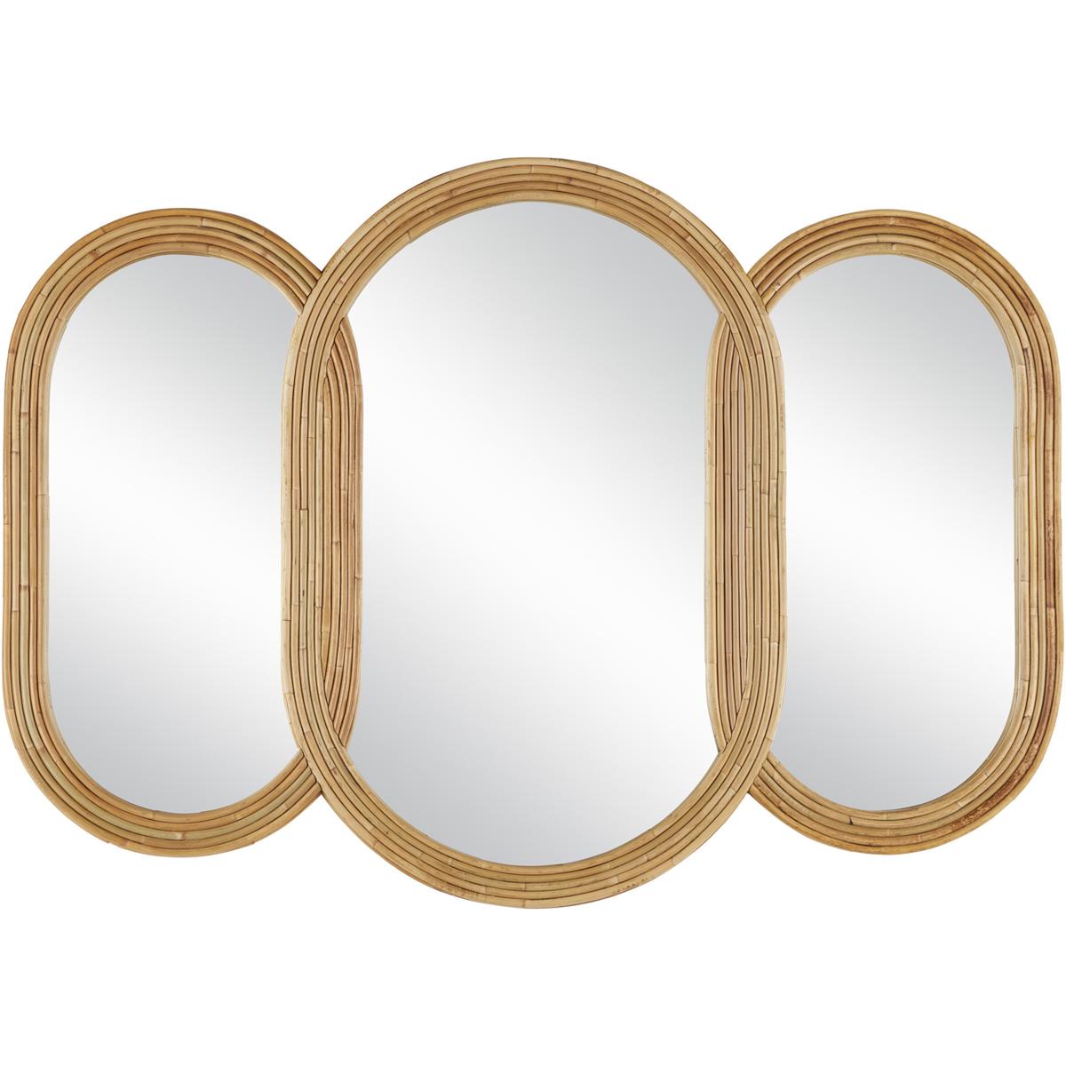 Currey & Company 1000-0128 Triboa 50.25 X 36 inch Natural and Khaki Mirror