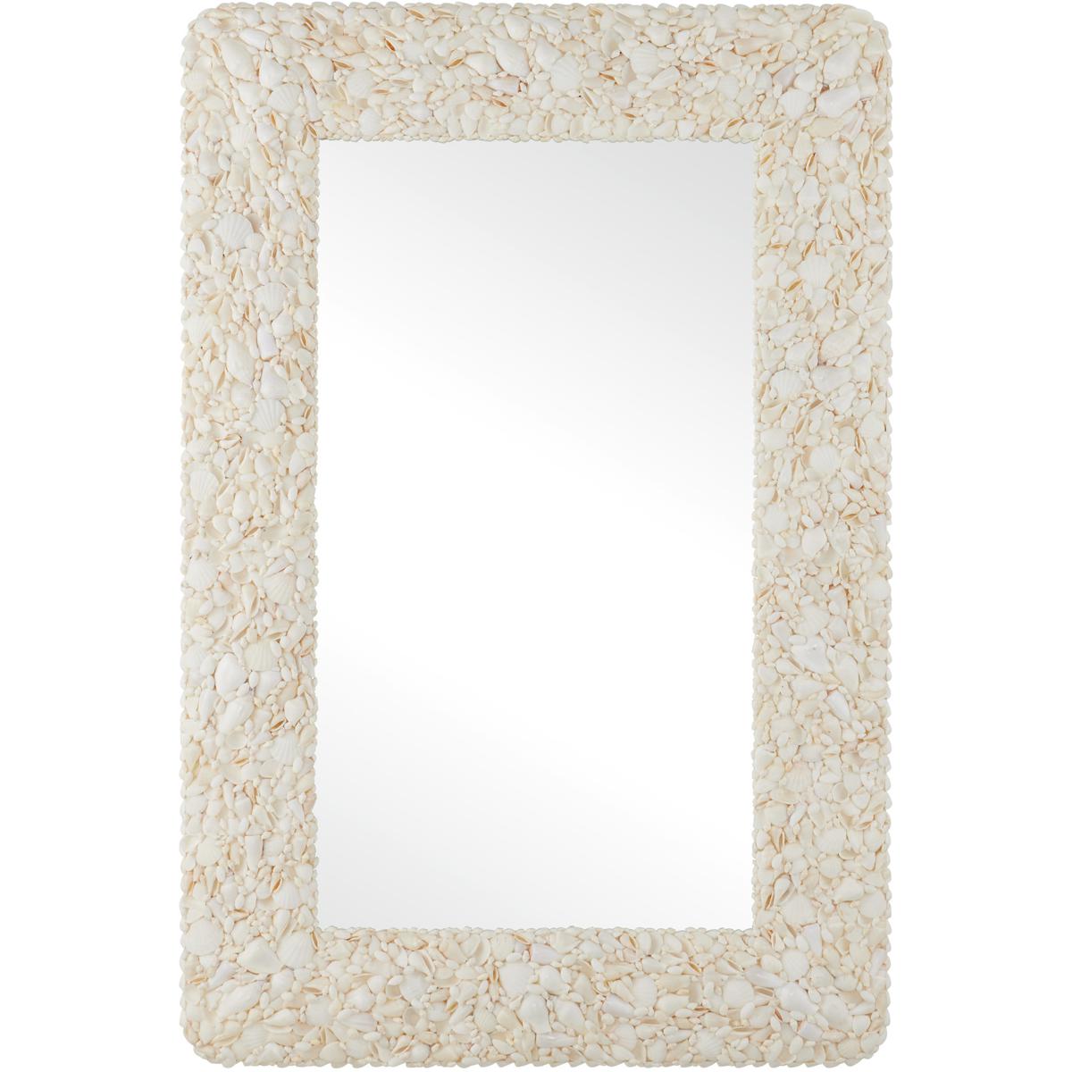 Currey & Company 1000-0168 Turbinella 48.25 X 32.5 inch Natural Mirror