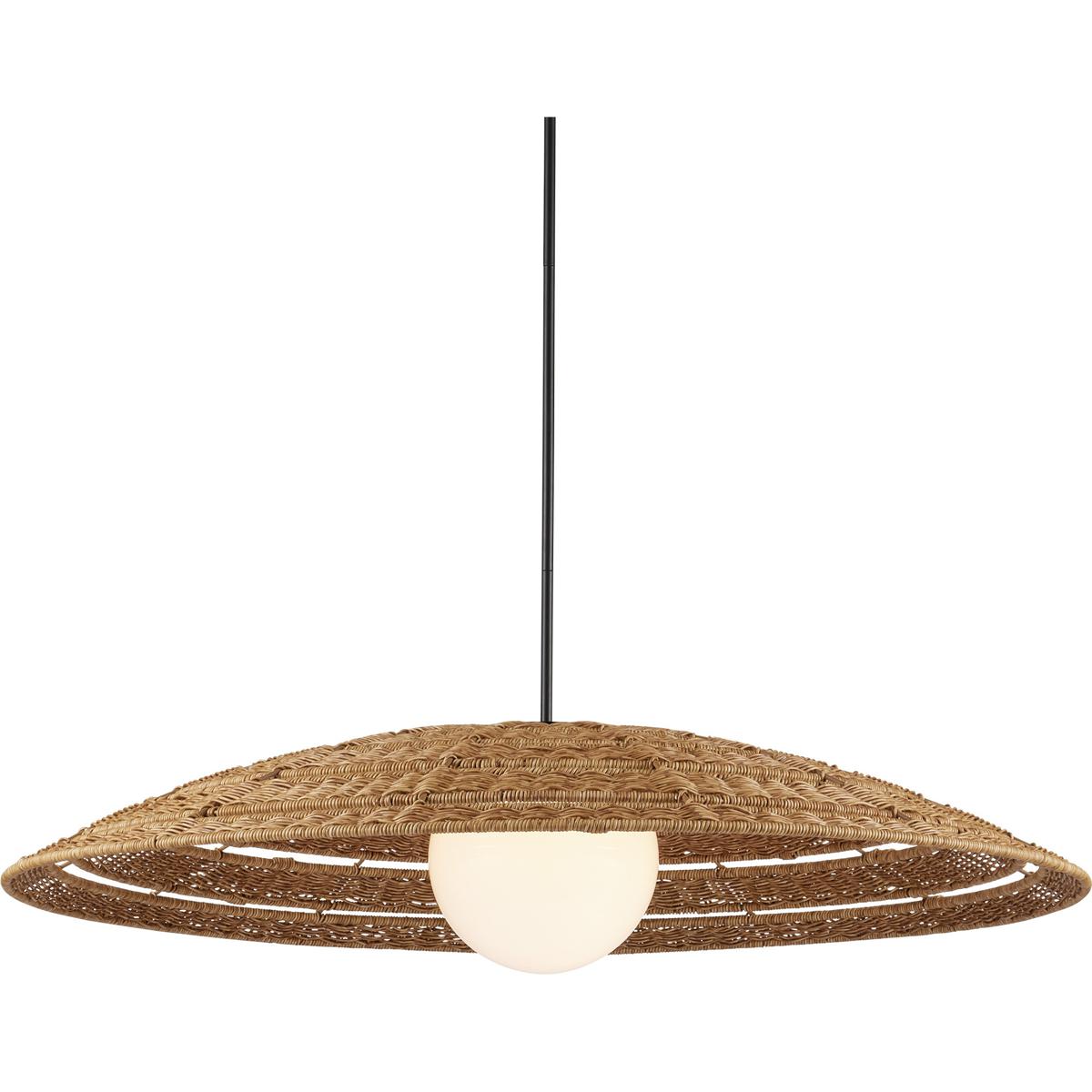 Currey & Company 9500-0018 Barbary 1 Light 42 inch Black Outdoor Pendant