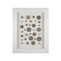 Dimond Lighting 168 003 Sea Urchin White And Natural Shell Wall Decor