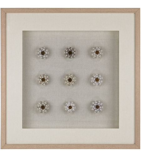 Dimond Home 168 011 Sea Urchin Natural Shells White Wall Art