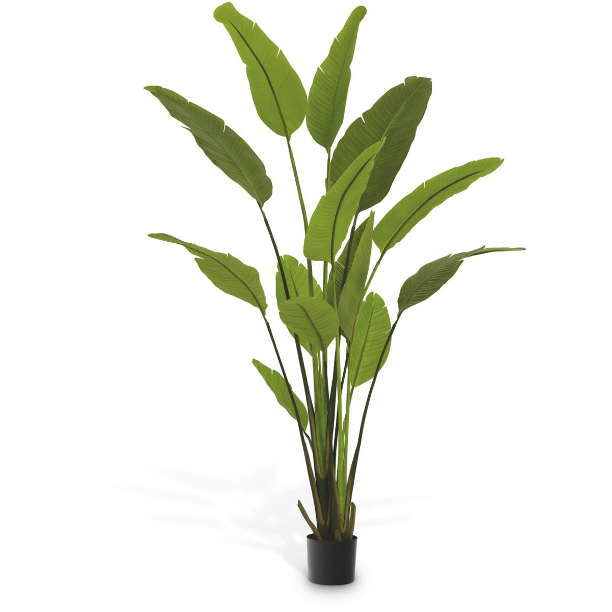 Eichholtz 118902 Strelitzia Green Tones Artificial Plant