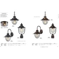 Weathered Charcoal Finish Elk 45041/1 Searsport 1-Light Outdoor Pendant with Water Glass Diffuser 8 by 10-Inch
