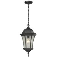 ELK 45053/1 Wellington Park 1 Light 9 inch Weathered Charcoal Outdoor Hanging Light photo thumbnail
