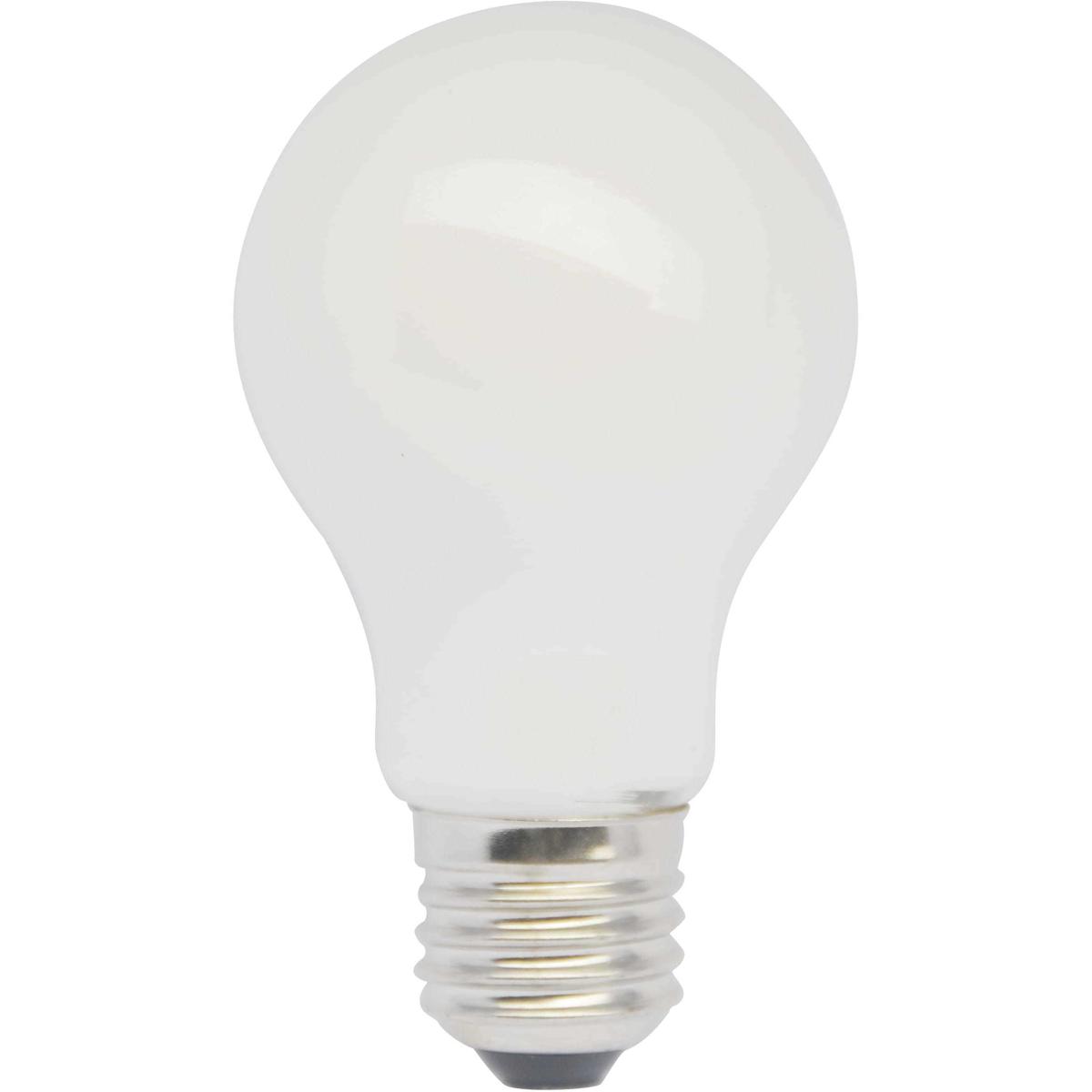 Elitco Lighting A19LED804-6PK Anthony A19 E26 10 watt 120 3000K LED Light Bulb, Pack of 6