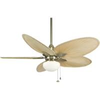 Fanimation Fp7500ab Windpointe 52 Inch Antique Brass With Narrow