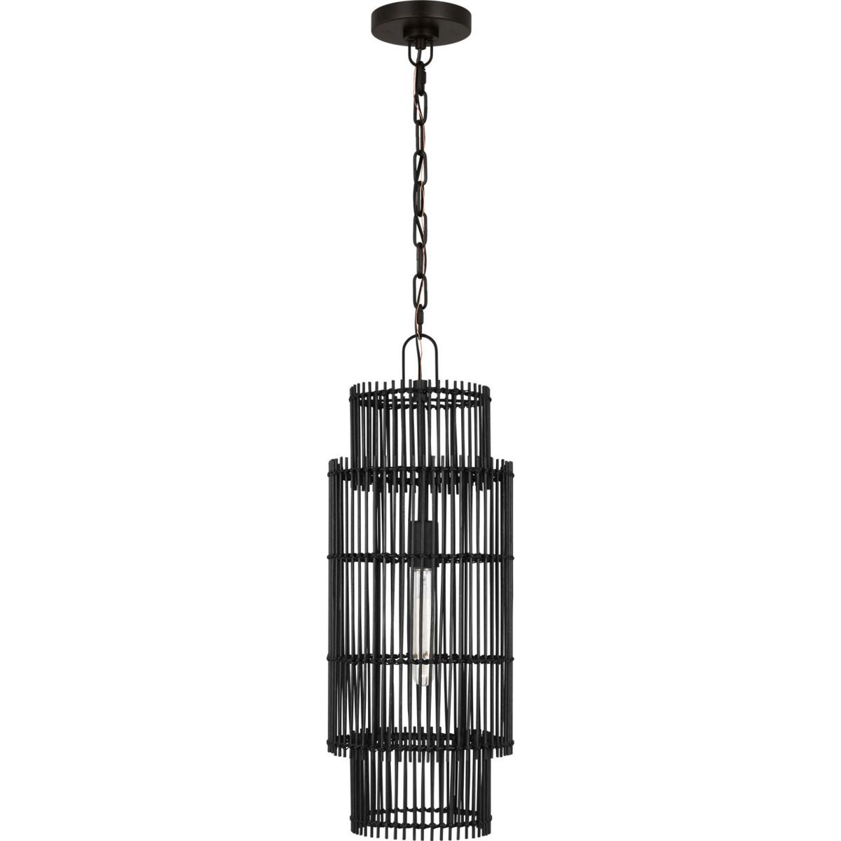 Visual Comfort Studio Collection EP1411AI ED Ellen DeGeneres Elio 1 Light 10 inch Aged Iron Hanging Shade Ceiling Light