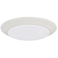 HomePlace by Capital Lighting Flush Mounts