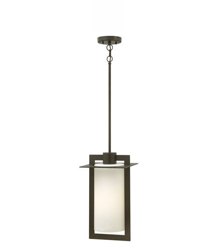 Hinkley 2922BZ-LED Colfax LED 10 inch Bronze Outdoor Hanging Light, Etched Opal Glass photo