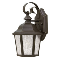 Hinkley 1674OZ-LED Edgewater 1 Light 11 inch Oil Rubbed Bronze Outdoor Wall Lantern in Clear Seedy Panels, LED, Clear Seedy Panels Glass photo thumbnail