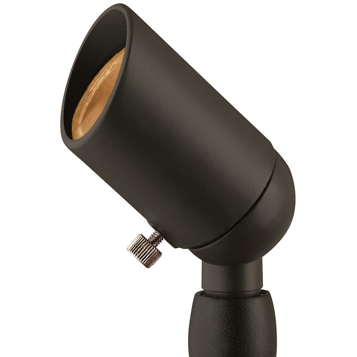 Bronze LED Landscape Spot from the Accent Spot Light Collection