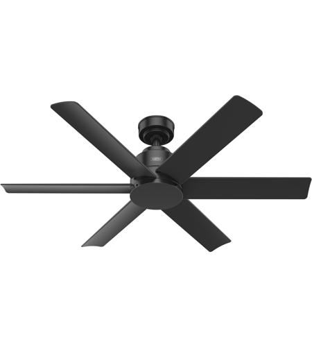 Hunter Fan 48 inch Matte Black Outdoor Ceiling Fan with Black Plastic Blades 