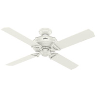 Hunter Fan 54180 Brunswick 52 inch Fresh White with Fresh White/Grey Oak Blades Indoor/Outdoor Ceiling Fan thumb