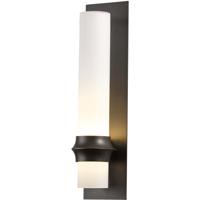 Hubbardton Forge 304933-1040 Rook 1 Light 20 inch Coastal Gold Outdoor Sconce photo thumbnail
