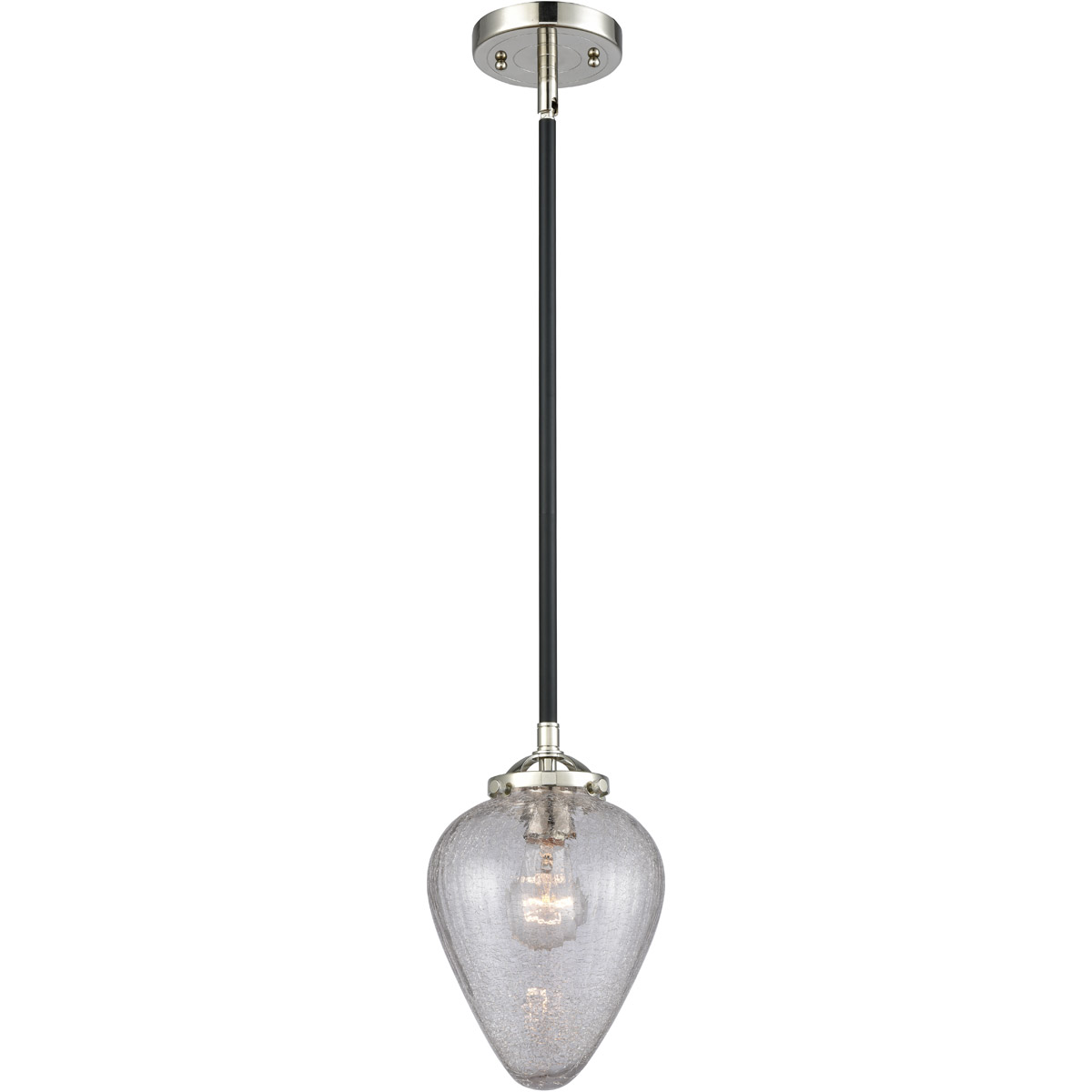 Innovations Lighting 284-1S-BPN-G165-LED Nouveau Geneseo LED 7 inch Black Polished Nickel Mini Pendant Ceiling Light, Nouveau