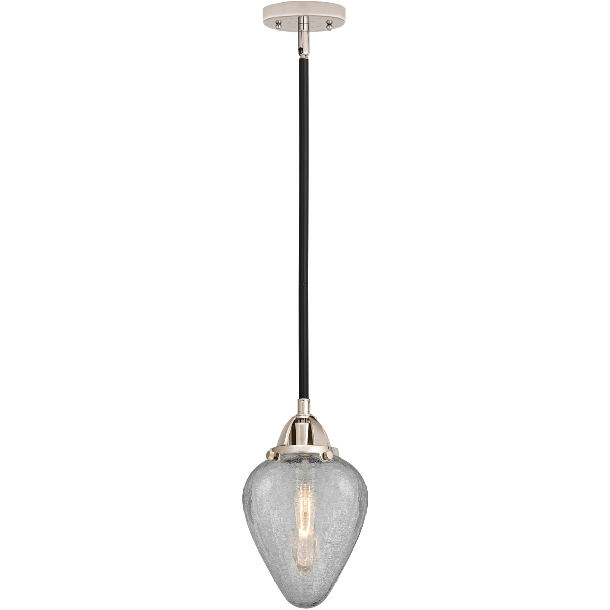 Innovations Lighting 288-1S-BPN-G165 Nouveau 2 Geneseo 1 Light 7 inch Black Polished Nickel Mini Pendant Ceiling Light