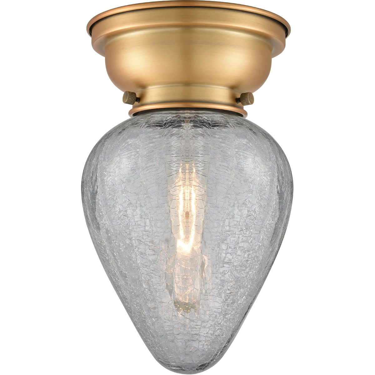 Innovations Lighting 623-1F-BB-G165 Aditi Geneseo 1 Light 6.5 inch Brushed Brass Flush Mount Ceiling Light, Aditi