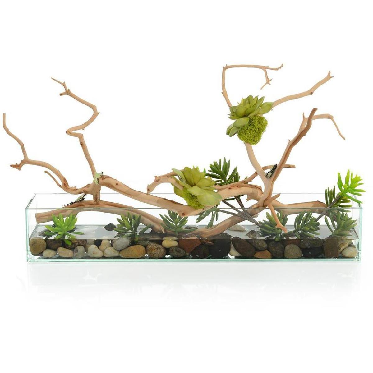 John-Richard JRB-4983W Succulent Tree Botanical, Fresh Water Look