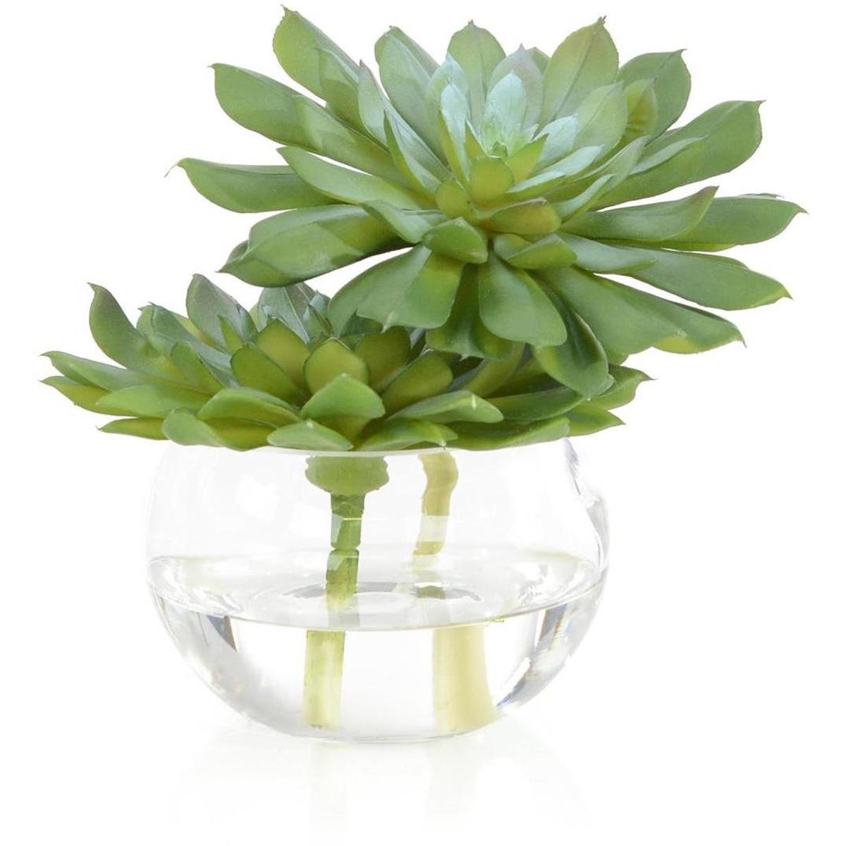 John-Richard JRB-5254W Double Succulent Botanical, Fresh Water Look
