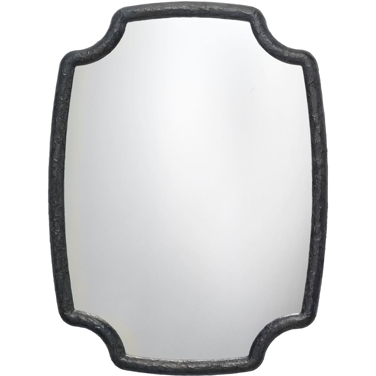 Jamie Young Co 6SELE-MICH Selene 48 X 36 inch Textured Charcoal Resin Wall Mirror