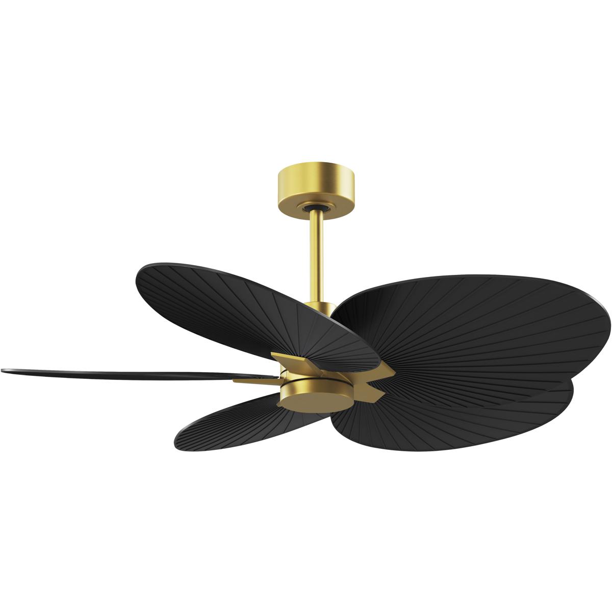 Matthews Fan Co AKTP-BRBR-BK Atlas Alessandra Tropical 48 inch Brushed Brass with Matte Black Blades Ceiling Fan