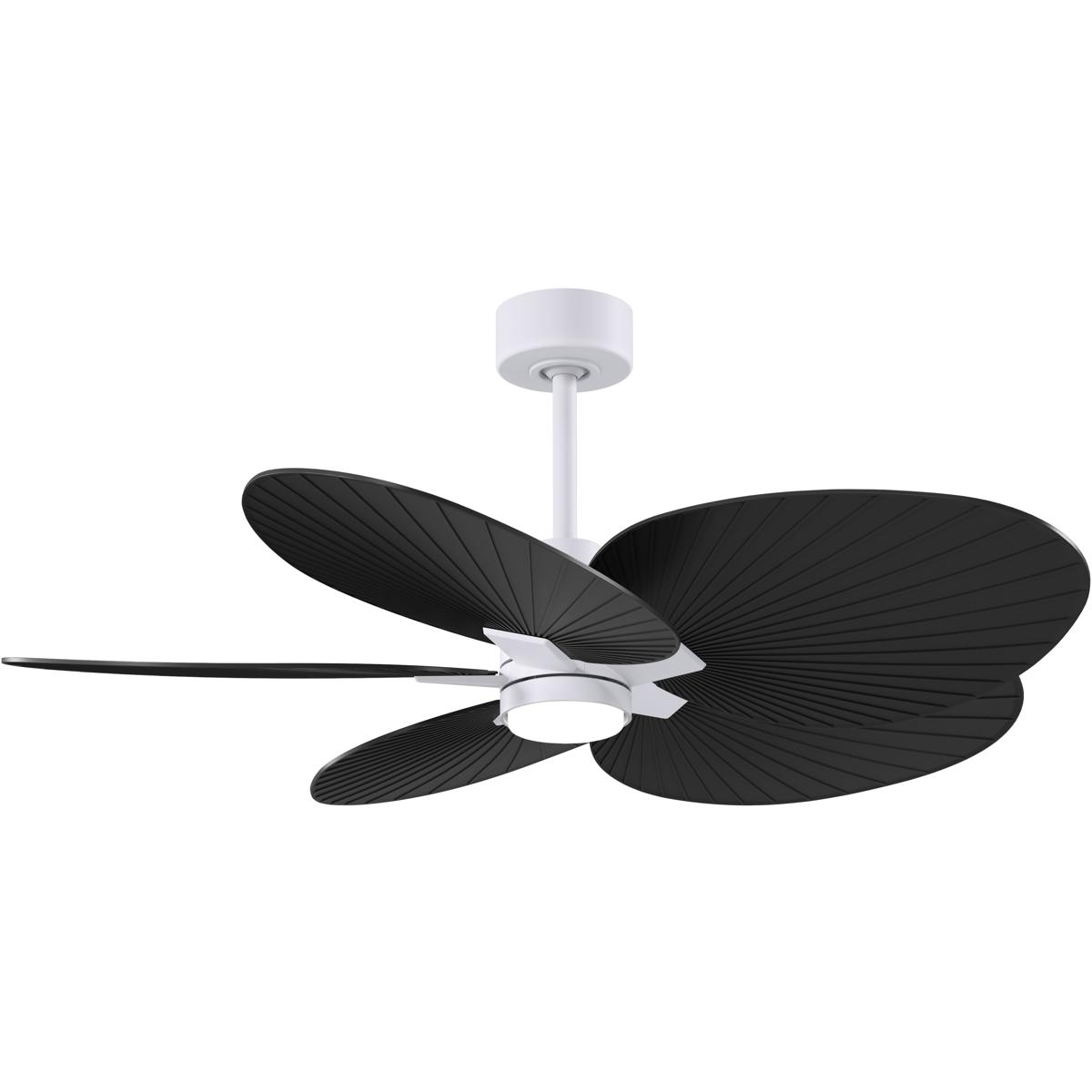 Matthews Fan Co AKTPLK-MWH-BK Atlas Alessandra Tropical - LK 48 inch Matte White with Matte Black Blades Ceiling Fan
