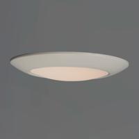 Maxim 57855WTWT Diverse LED LED 11 inch White Flush Mount Ceiling Light alternative photo thumbnail