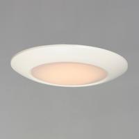 Maxim 57855WTWT Diverse LED LED 11 inch White Flush Mount Ceiling Light alternative photo thumbnail