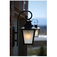 Maxim 1133CLBZ Knoxville 1 Light 11 inch Bronze Outdoor Wall Sconce alternative photo thumbnail
